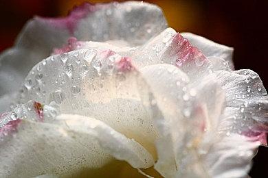 《冲就完事模拟器2》10月23日多平台发售  好评解压继续